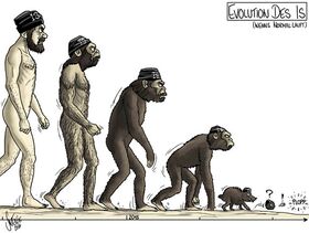 Evolution, IS